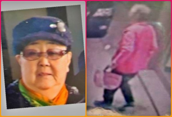 실종자 장정숙 할머니, 실종 당시 CCTV에 찍힌 모습(우)