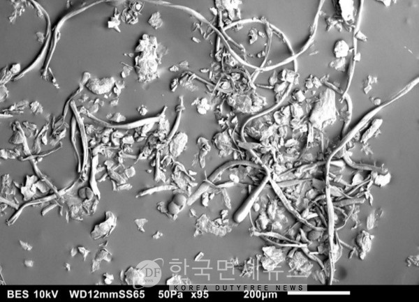 다이슨 미생물연구소에서 현미경으로 관찰한 먼지의 모습<br>