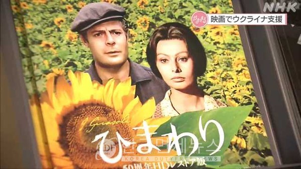 41+ 영상 해바라기 영화 34 日 소피아 로렌 주연의 '해바라기' 52년 만에 재조명, 전국으로 상영관 늘어나...수익금 일부 우크라에 기부 - 한국면세뉴스